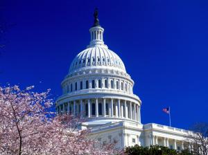 United States Capitol HD wallpaper thumb