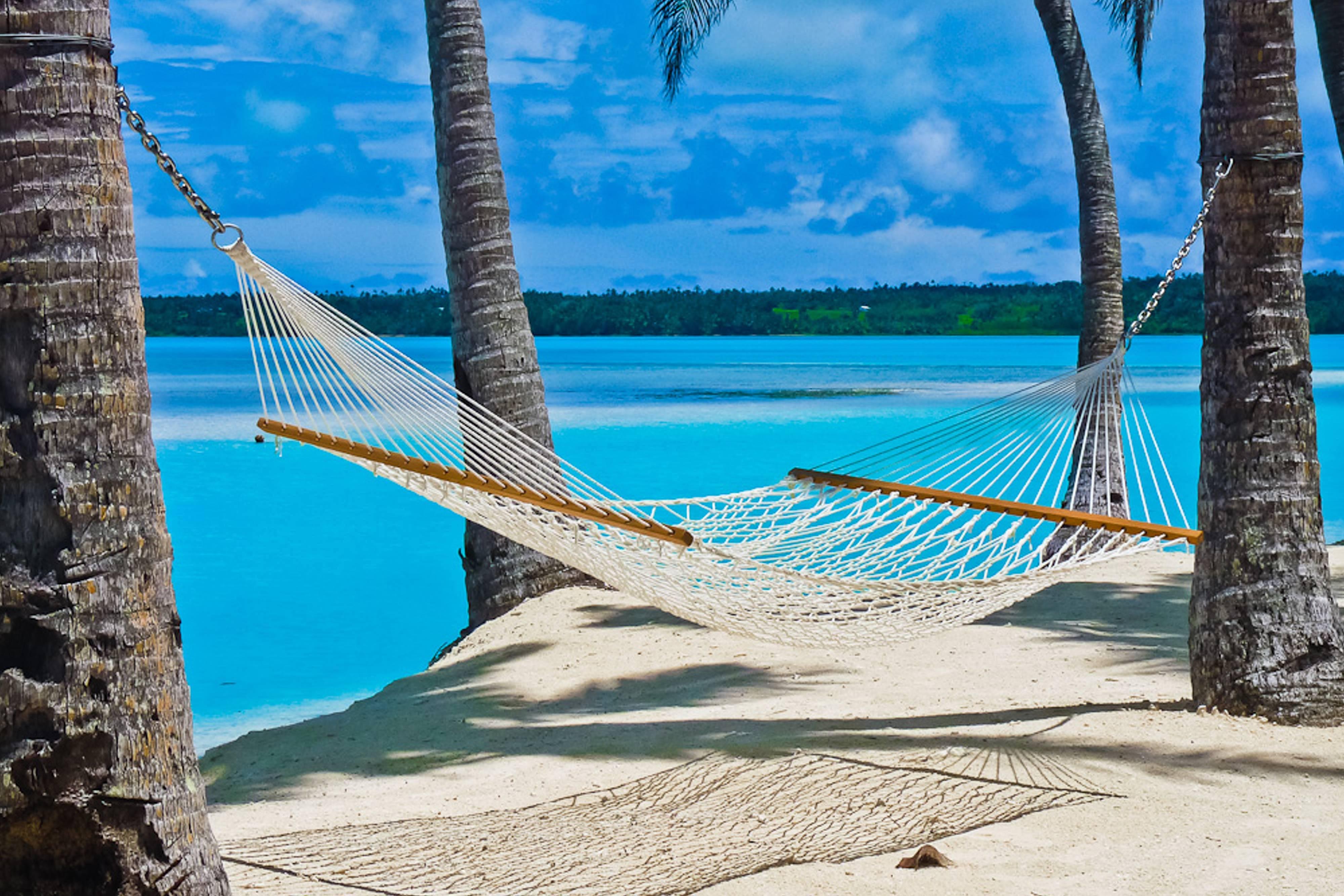 Hammock on Beach in the South Pacific wallpaper | colorful | Wallpaper ...
