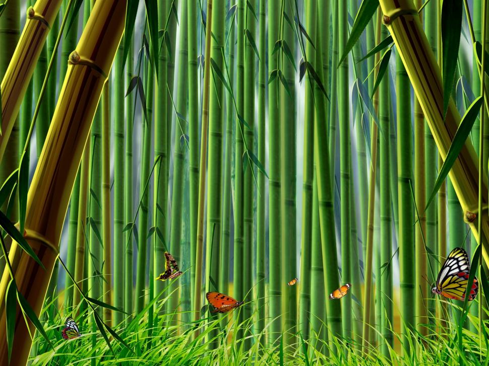 Bamboo forest, butterflies, grass wallpaper,Bamboo HD wallpaper,Forest HD wallpaper,Butterflies HD wallpaper,Grass HD wallpaper,1920x1440 wallpaper