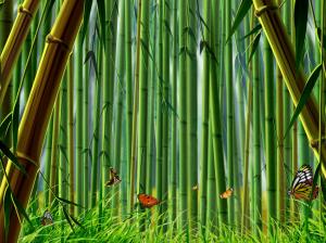 Bamboo forest, butterflies, grass wallpaper thumb
