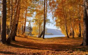 Nature autumn scenery, yellow leaves, trees, lake, mountains wallpaper thumb