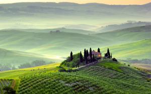 Pienza, Tuscany, Italy, spring scenery, fields, trees, morning, fog, green wallpaper thumb