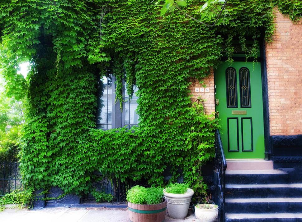 Beautiful home wallpaper,architecture wallpaper,green wallpaper,home wallpaper,beautiful wallpaper,houses wallpaper,1680x1239 wallpaper