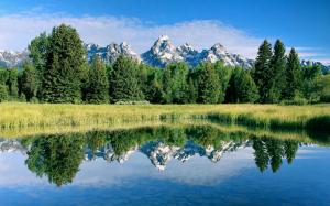 Stunning scenery, mountains, lake, plants, trees, water reflection wallpaper thumb