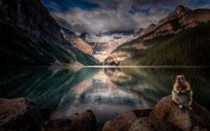 Lake Louise, Alberta, Canada, rodent, mountains, trees, clouds, dusk wallpaper thumb