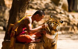 Monk and Tiger wallpaper thumb