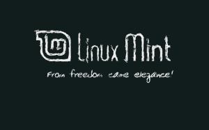 Linux, Linux Mint, High Tech wallpaper thumb