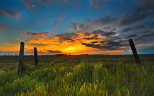 Grass Sunset Posts HD wallpaper thumb