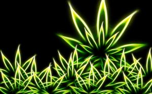 Marijuana wallpaper thumb