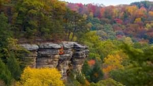 Beautiful Cliff In An Autumn Forest wallpaper thumb