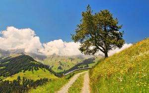 Road, sky, mountains, grass, flowers, trees wallpaper thumb