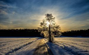 Winter landscape, road, trees, sunlight wallpaper thumb