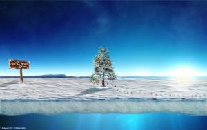 Christmas Tree, winter, Christmas, holidays, Santa Claus, north pole, cold wallpaper thumb