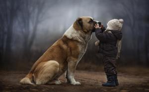 Child with dog, friendship wallpaper thumb