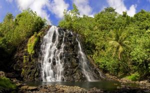 Tropical Waterfalls wallpaper thumb