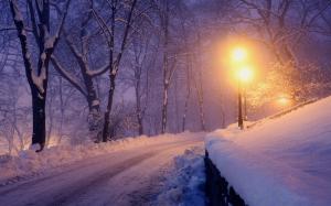 Nature, Landscape, Lanterns, Winter, Park, Snow, Trees, Lights, Road, Cold wallpaper thumb