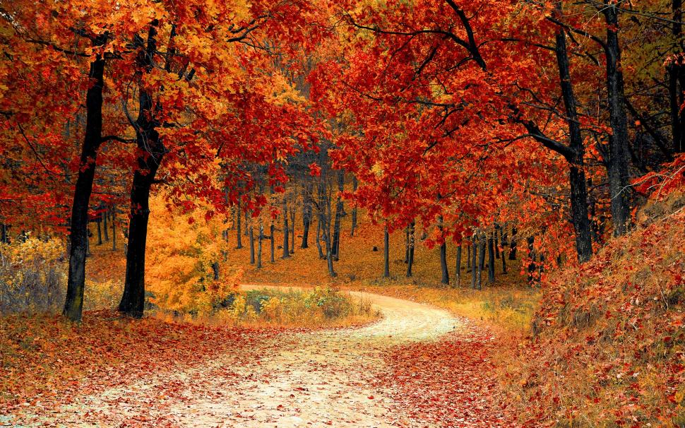 Autumn Fall Season wallpaper,season HD wallpaper,fall HD wallpaper,autumn HD wallpaper,2880x1800 wallpaper