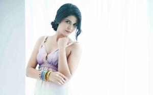 Actress Manisha Hot wallpaper thumb