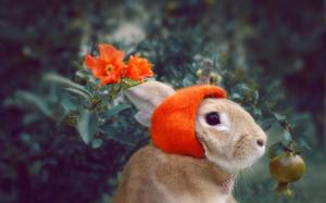 History vigorously, Sen rabbit, Cute, Meadow, Daileng, Meng, Flowers, Rabbit wallpaper thumb
