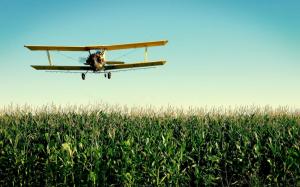 Airplane over the corn field wallpaper thumb
