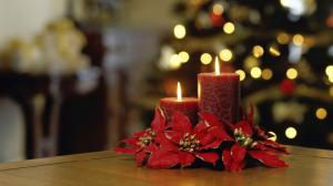 Red flowers next to candles wallpaper thumb