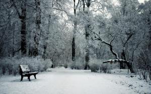 Nature Landscapes Park Garden Trees Forests Winter Snow Seasons Bench Cold Widescreen wallpaper thumb