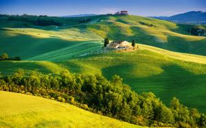 Italy, Tuscany, sunlight, summer, countryside, trees, sky, green fields wallpaper thumb