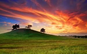 USA, California, spring sunset, grass, hill, trees, red sky wallpaper thumb