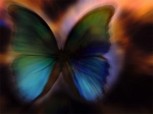 insect butterfly mystic HD wallpaper thumb