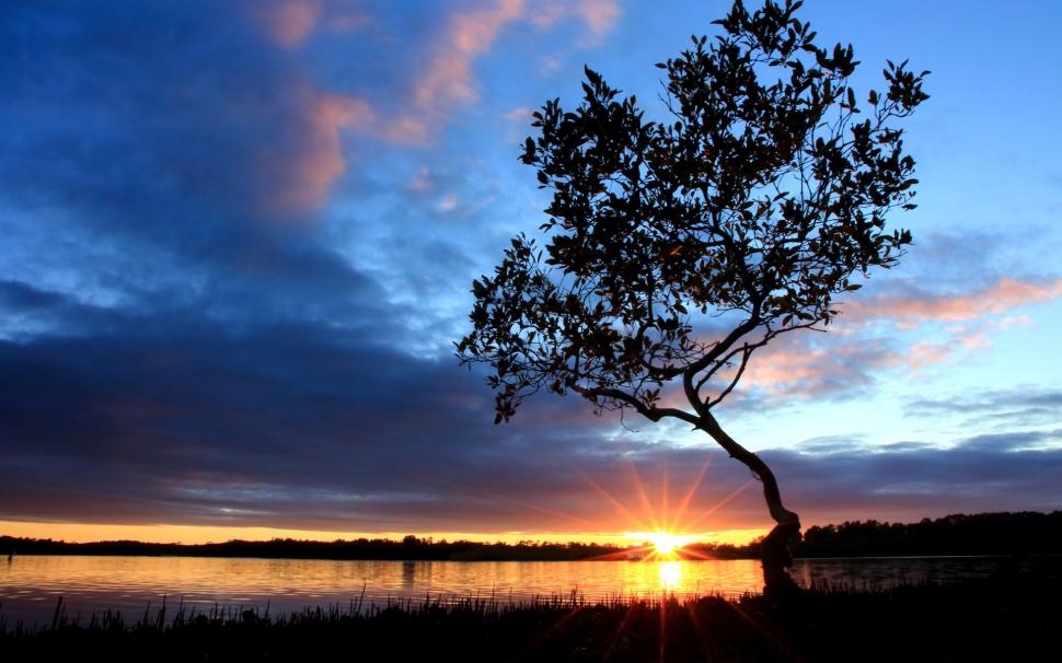 Beautiful nightfall scenery at river side, sunset, tree, sky, clouds wallpaper,Beautiful HD wallpaper,Nightfall HD wallpaper,Scenery HD wallpaper,River HD wallpaper,Side HD wallpaper,Sunset HD wallpaper,Tree HD wallpaper,sky HD wallpaper,Clouds HD wallpaper,1920x1200 wallpaper