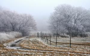 Morning fog, trees, field, fence wallpaper thumb