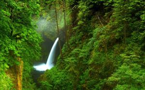 USA, Oregon, waterfall wallpaper thumb