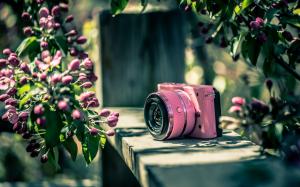 Nikon camera, pink, flowers wallpaper thumb