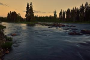 Summer river in forest wallpaper thumb