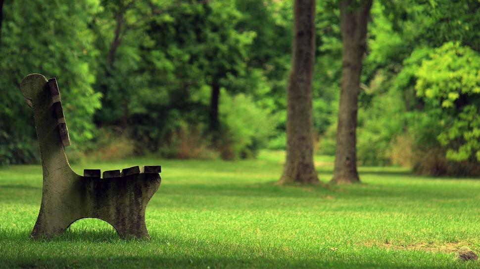 Stone bench in the park wallpaper,photography HD wallpaper,1920x1080 HD wallpaper,grass HD wallpaper,tree HD wallpaper,bench HD wallpaper,park HD wallpaper,1920x1080 wallpaper