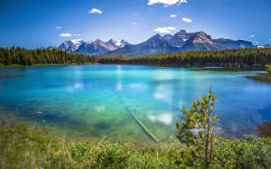 Mountains, forest, lake, water transparency wallpaper thumb