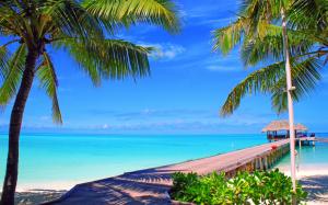 Maldives, island, palm trees, bridge, bungalows, sea, ocean wallpaper thumb