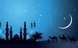 Camels in The Night wallpaper thumb