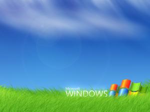 Microsoft Windows wallpaper thumb