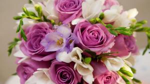 Beautiful Flowers For You wallpaper thumb