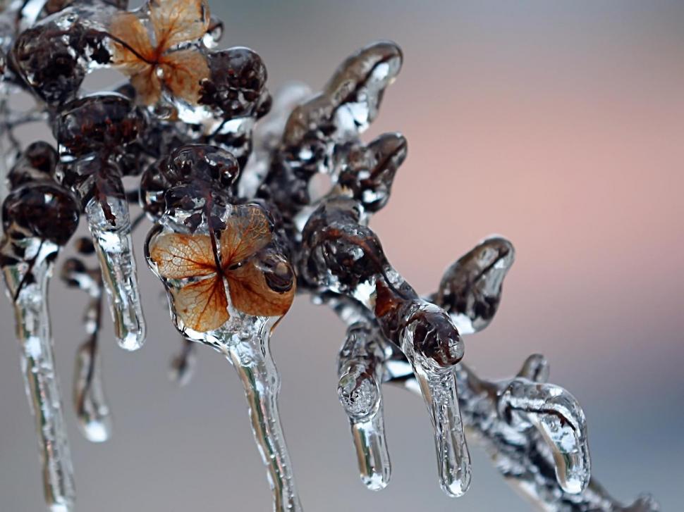 Ice Icicles wallpaper | nature and