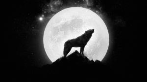 Wolf howling at the full moon wallpaper thumb