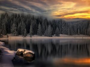 winter on the lake forest peace snow SONW sunset Trees Water HD wallpaper thumb