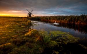 Windmill Pond Bird Swan Grass Sunset HD wallpaper thumb