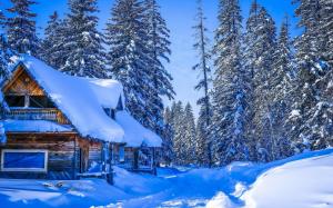 Winter, thick snow, Khabarovsk Krai, Russia, house, forest, trees wallpaper thumb