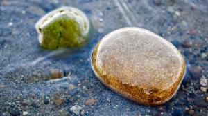 Wet Rocks in Shallow Water wallpaper thumb
