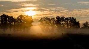 Morning, sunrise, clouds, trees, fog wallpaper thumb