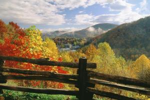 Fall Colors Of Gatlinburg Tennessee. wallpaper thumb