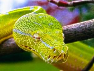 Fractal Snake wallpaper thumb
