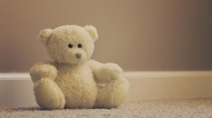 Cute teddy bear, stuffed bears wallpaper thumb